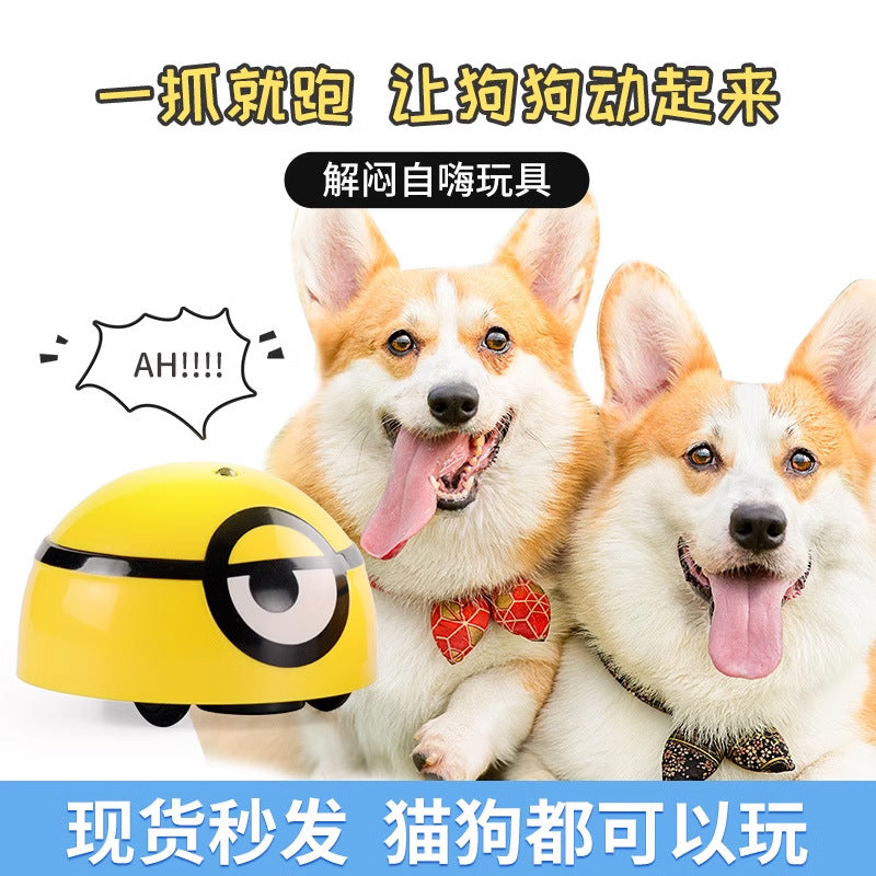 Minions amuse the dog toy to relieve boredom, the puppy makes sounds, the pet puzzle consumes energy, the cat is resistant to chewing and self-pleasant