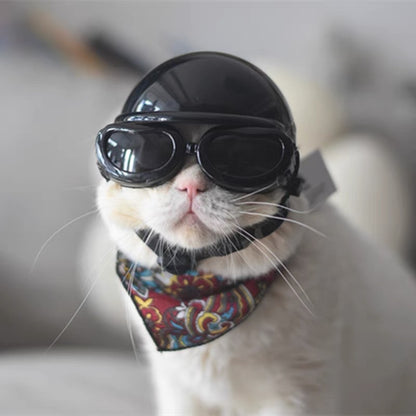 Cat motorcycle helmet Cat special pet motorcycle helmet Cat and dog handsome mini motorcycle hat safety hat