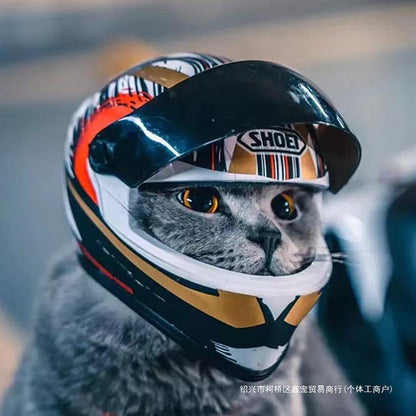 Cat motorcycle helmet Cat special pet motorcycle helmet Cat and dog handsome mini motorcycle hat safety hat